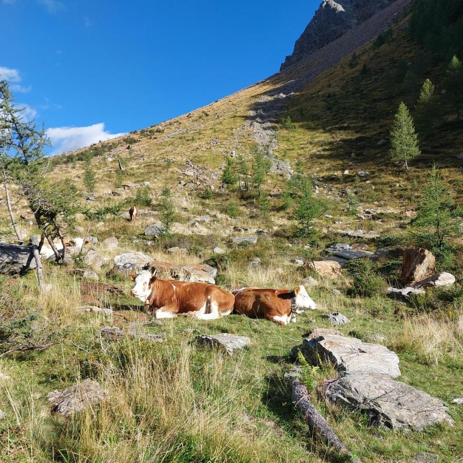 Ausserwalderhof Innervillgraten Bagian luar foto